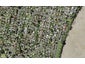 39 Tamatea Avenue, Point England, Auckland - Carousel 1