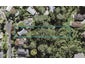 121 Canongate Street, Birkdale, Auckland - Carousel 1