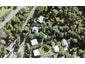 5 Opahi Bay Road, Mahurangi West, Warkworth - Carousel 1