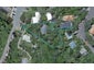50 Moana Road, Kelburn, Wellington - Carousel 1