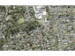 34B Pokapu Street, Titirangi, Auckland - Carousel 1