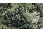 94 Lonely Track Road, Redvale, Auckland - Carousel 1
