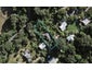 118 Wharf Road, Ostend, Waiheke Island - Carousel 1