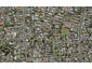 27C Margaret Road, Papatoetoe, Auckland - Carousel 1