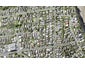 21A Garadice Road, Rothesay Bay, Auckland - Carousel 1