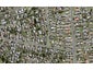 3/4 Waitaki Street, Henderson, Auckland - Carousel 1