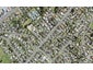 53 Forest Hill Road, Henderson, Auckland - Carousel 1