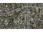 6A Debron Avenue, Remuera, Auckland - Carousel 1