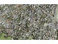 1/10 Mander Place, Bucklands Beach, Auckland - Carousel 1