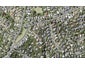 1/7 Calypso Place, Rothesay Bay, Auckland - Carousel 1