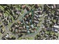 13 Freeland Avenue, Mount Roskill, Auckland - Carousel 1