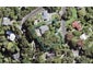 759 South Titirangi Road, Titirangi, Auckland - Carousel 1
