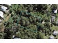 38 Lannan Road, Surfdale, Waiheke Island - Carousel 1
