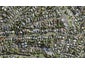 21 Mary Dreaver Street, New Windsor, Auckland - Carousel 1