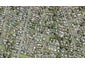 8A Claridge Street, Glen Eden, Auckland - Carousel 1