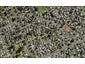 8A Neems Place, Manurewa, Auckland - Carousel 1