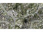 201 Browns Bay Road, Browns Bay, Auckland - Carousel 1