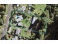 27 Kauri Road, Whenuapai, Auckland - Carousel 1
