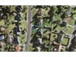8B Sanft Avenue, Mount Roskill, Auckland - Carousel 1