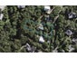 37 Tiri View Road, Palm Beach, Waiheke Island - Carousel 1