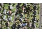21 Sanft Avenue, Mount Roskill, Auckland - Carousel 1