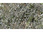 43 Woodstock Road, Forrest Hill, Auckland - Carousel 1