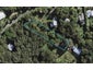 28 Beresford Avenue, Surfdale, Waiheke Island - Carousel 1