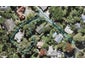 25A West Lynn Road, Titirangi, Auckland - Carousel 1