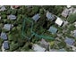 11 Kio Road, Hataitai, Wellington - Carousel 1