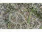 32 Oliver Road, Eastern Beach, Auckland - Carousel 1