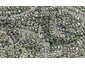 24B Cranston Street, Torbay, Auckland - Carousel 1