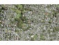 121A Woodglen Road, Glen Eden, Auckland - Carousel 1