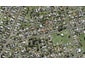 42B Church Road, Mangere Bridge, Auckland - Carousel 1