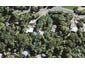 71 Warner Park Avenue, Laingholm, Auckland - Carousel 1