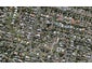 146B The Drive, Epsom, Auckland - Carousel 1