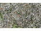 33B Sorrel Crescent, Bucklands Beach, Auckland - Carousel 1