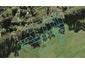 221 Fred Taylor Drive, AUCKLAND, Auckland - Carousel 1