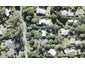 6 Kilgour Terrace, Huia, Auckland - Carousel 1