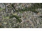 24 The Enclave, Totara Heights, Auckland - Carousel 1