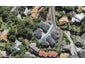 2/82 Landscape Road, Mount Eden, Auckland - Carousel 1