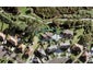 79B Herdman Street, Waterview, Auckland - Carousel 1