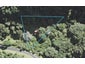 6 Lone Kauri Road, Karekare, Auckland - Carousel 1