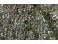 61B Ngapuhi Road, Remuera, Auckland - Carousel 1