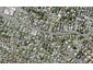 2A Yeoman Place, Howick, Auckland - Carousel 1
