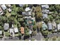 64 Selbourne Street, Grey Lynn, Auckland - Carousel 1