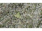 8C Weetman Drive, Browns Bay, Auckland - Carousel 1