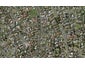 59 Charntay Avenue, Clover Park, Auckland - Carousel 1