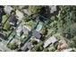 8 Tui Vale Road, Shelly Park, Auckland - Carousel 1