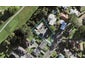 16 Linden Street, Mount Roskill, Auckland - Carousel 1