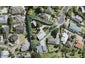 11 Earl Road, Titirangi, Auckland - Carousel 1
